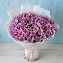 Букет цветов из:  Хризантемы в Вершино-Дарасунском