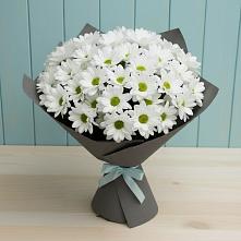 Букет цветов из:  Хризантемы в Вершино-Дарасунском