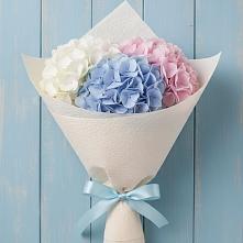 Букет цветов из:  Гортензия в Вершино-Дарасунском