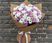 Букет цветов из:  Хризантемы в Вершино-Дарасунском