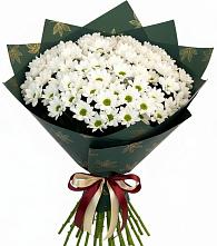 Букет цветов из:  Хризантемы #REPLACE_PRED# Вершино-Дарасунском