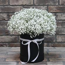 Цветочная композиция из Гипсофила в шляпной коробке в Вершино-Дарасунском